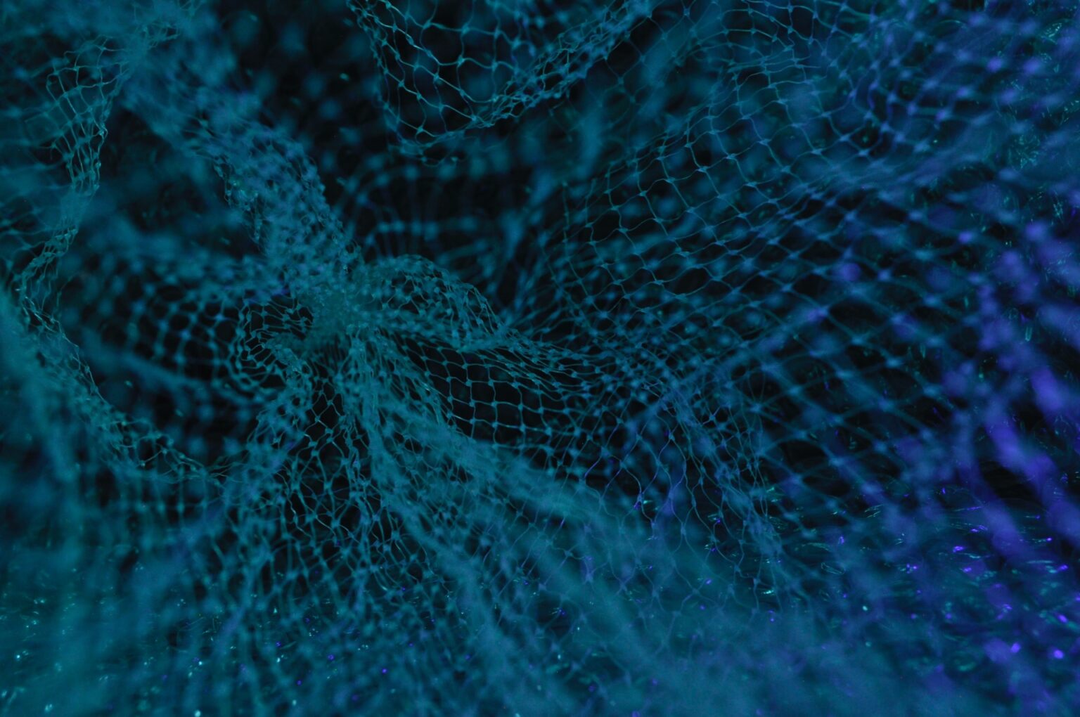 Generic image of a LIDAR scan of a fishing net
